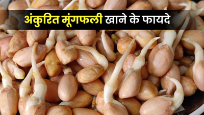अंकुरित मूंगफली खाने से सेहत को मिलते हैं ये 5 जबरदस्त फायदे