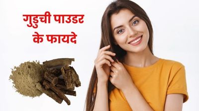 बालों के लिए बहुत फायदेमंद है गुडुची पाउडर, जानें कैसे करें इस्तेमाल