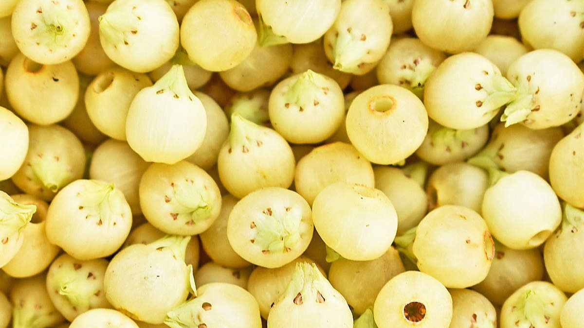 Mahua Seeds Benefits For Constipation