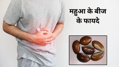कब्ज की समस्या से छुटकारा पाने के लिए करें महुआ के बीज का सेवन, जानें तरीका