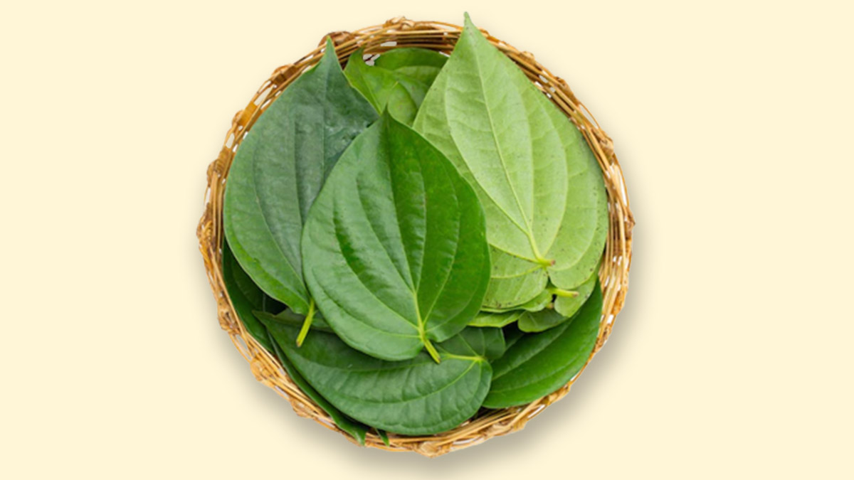 Not Just As A Mouth Freshener But Betel Leaves Can Also Be Used For Skin Issues