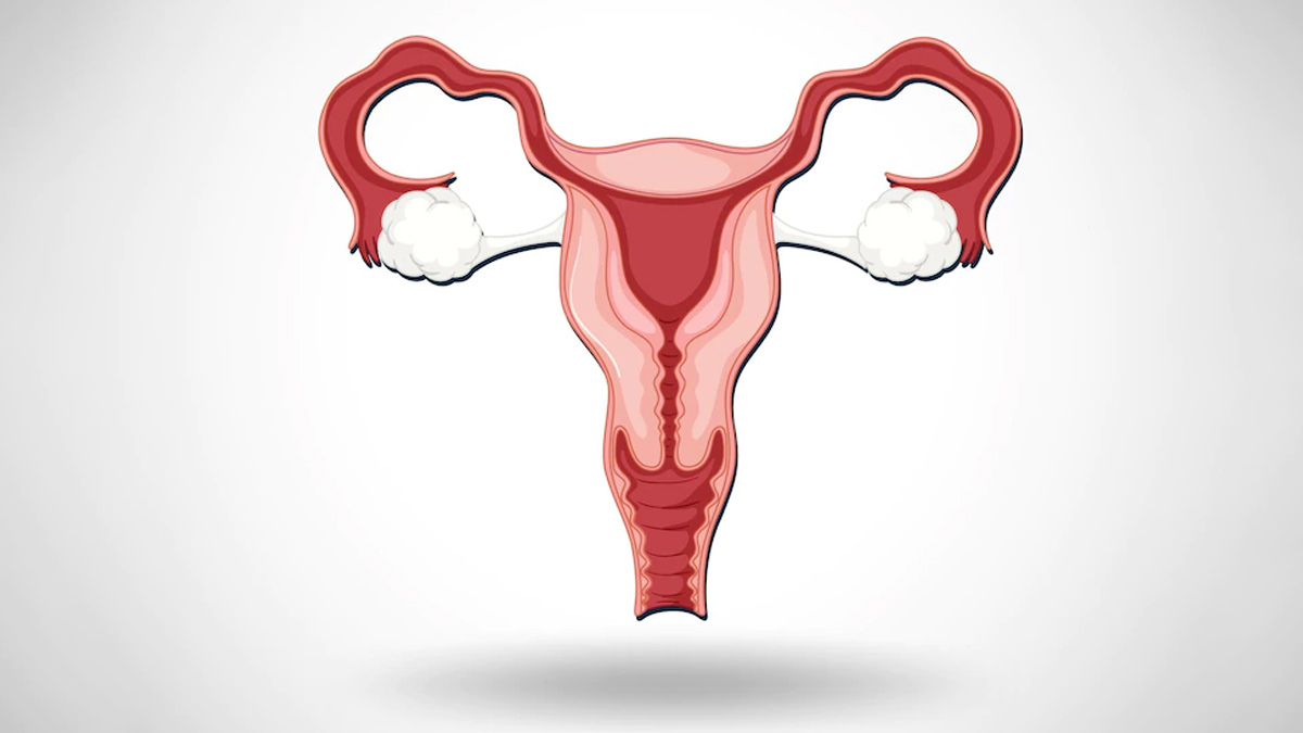 Menopause Before 40s: Know About Primary Ovarian Insufficiency