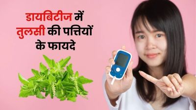 डायबिटीज के मरीज ऐसे करें तुलसी के पत्ते का सेवन, ब्लड शुगर होगा कंट्रोल