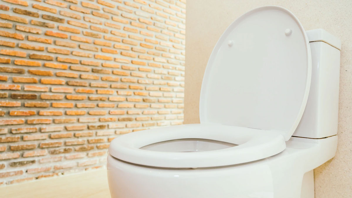 India vs Western Toilet Which one is Better for Health