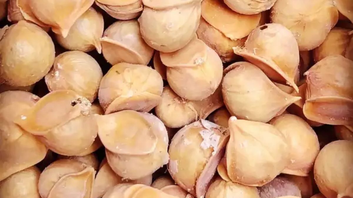 Kashmiri Garlic Benefits in Winter
