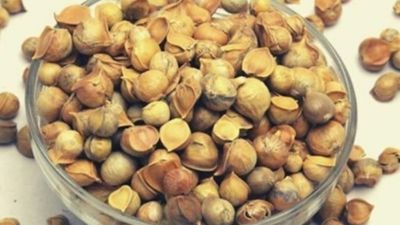 सर्दियों में इस तरह से करें कश्मीरी लहसुन का सेवन, मिलेंगे अनोखे फायदे