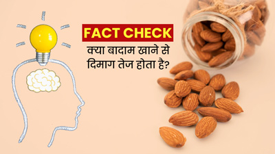 Fact Check: क्या बादाम खाने से वाकई दिमाग तेज होता है? डॉक्टर से जानें इस दावे की सच्चाई