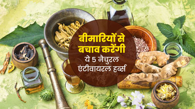 5 नैचुरल एंटीवायरल हर्ब्स, जो सर्दियों में रखेंगी मौसमी बीमारियों से दूर
