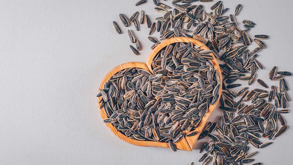 Why You Should Have Sunflower Seeds In Winters