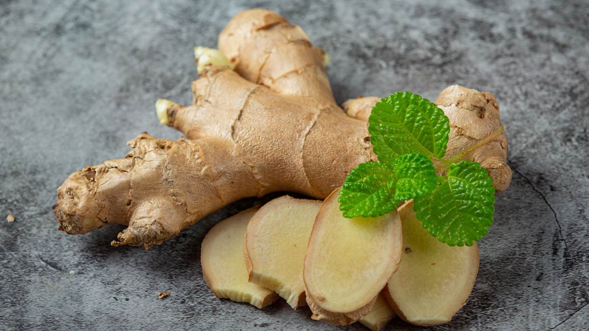 Ginger-As-Antibiotic