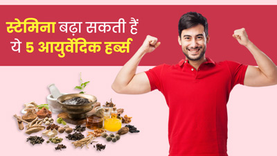 स्टेमिना को बूस्ट कर सकती हैं ये 5 आयुर्वेदिक जड़ी-बूटियां, दिनभर रहेंगे एनर्जेटिक