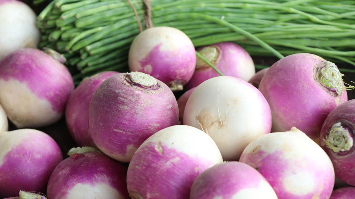 Health Benefits of Turnip Soup