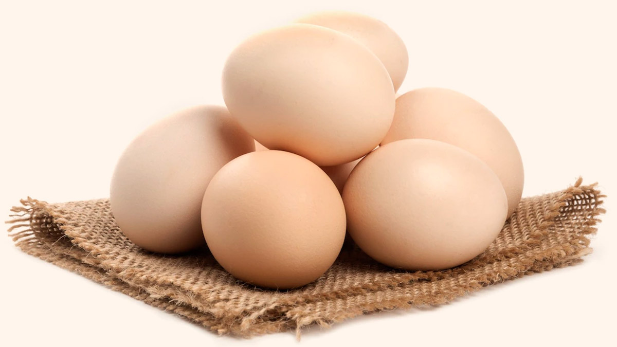 egg