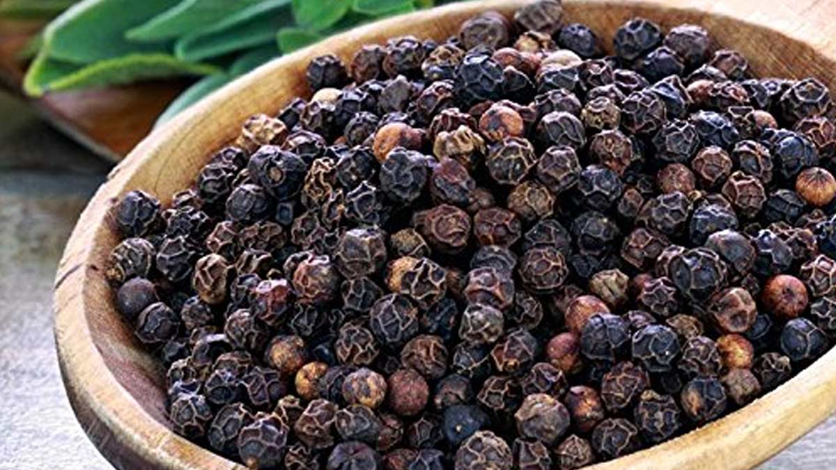 kali mirch benefits for winter