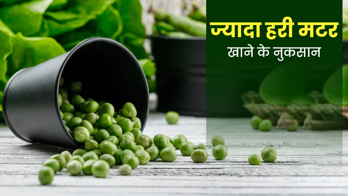Side Effects of Green Peas: ज्यादा हरी मटर खाने से शरीर को हो सकते हैं ये 5 नुकसान 