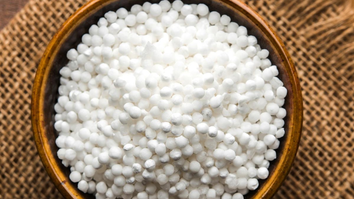 sabudana