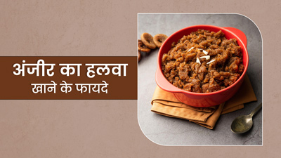 अंजीर का हलवा खाने से सेहत को मिलते हैं कई जबरदस्त फायदे, जानें बनाने का तरीका 
