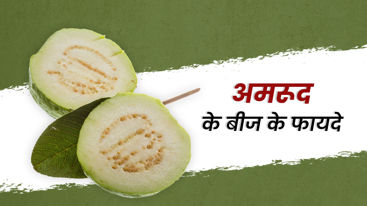 Guava Seed Benefits: औषधीय गुणों का खजाना हैं अमरूद के बीज, कई समस्याओं को करते हैं दूर