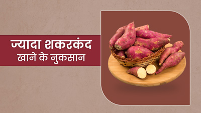 ज्यादा शकरकंद खाने से शरीर को हो सकते हैं ये 4 नुकसान