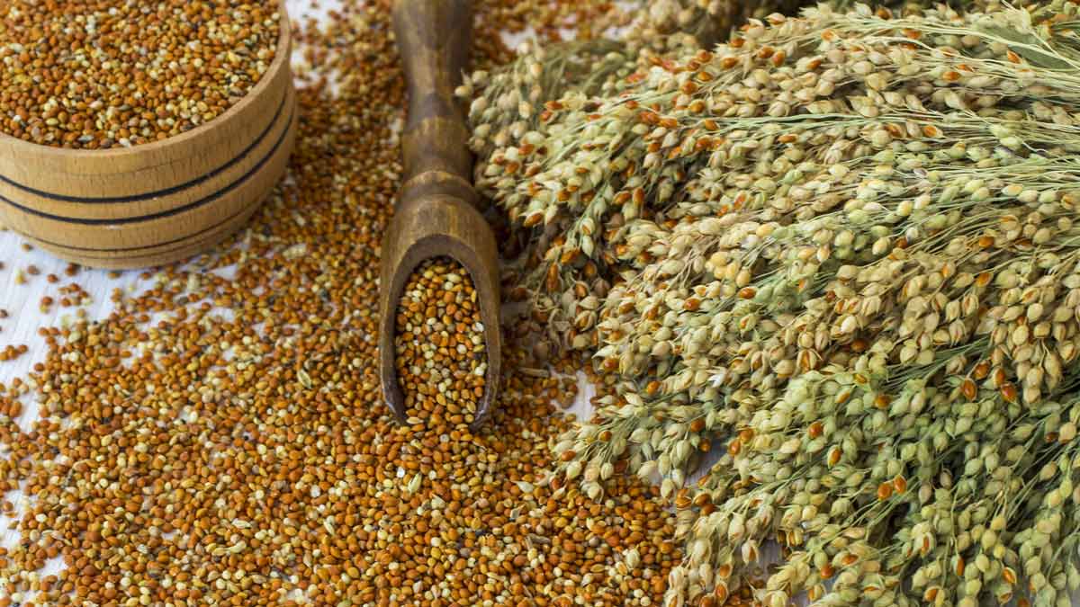 millets benefits in hindi 