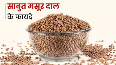सेहत के लिए बहुत फायदेमंद है साबुत मसूर दाल, जानें इसके 5 गजब के फायदे