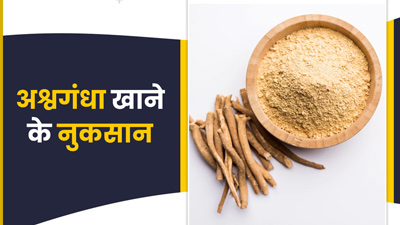 अश्वगंधा खाने से आपको हो सकते हैं कई नुकसान, खाने से पहले बरतें सावधानी