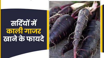 Benefits of Black Carrot: सर्दियों में खाएं काली गाजर, शरीर को मिलेंगे ये 5 फायदे
