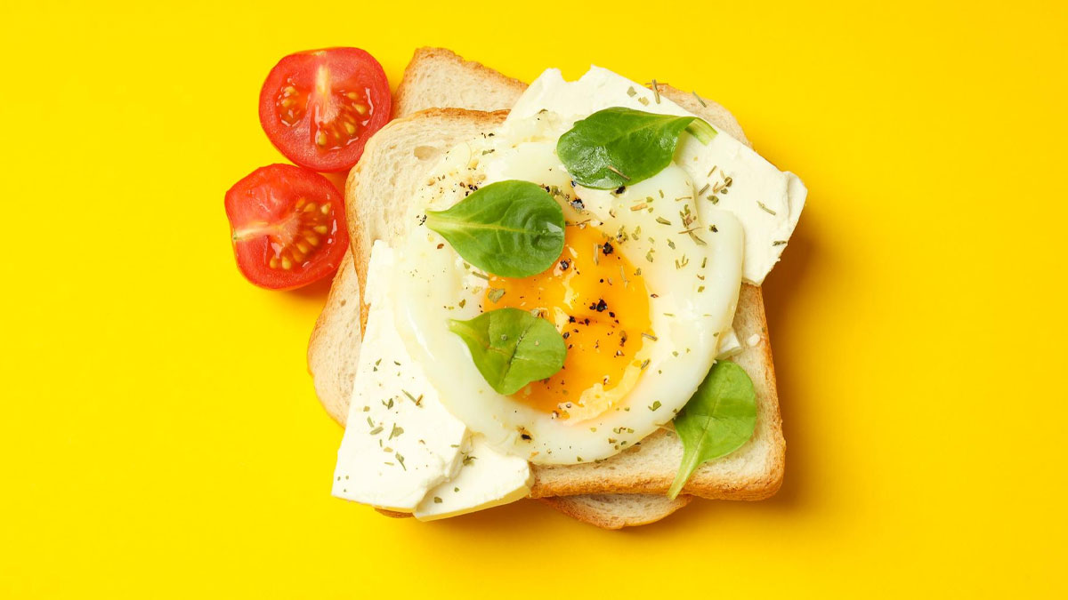 bread and egg benefits 