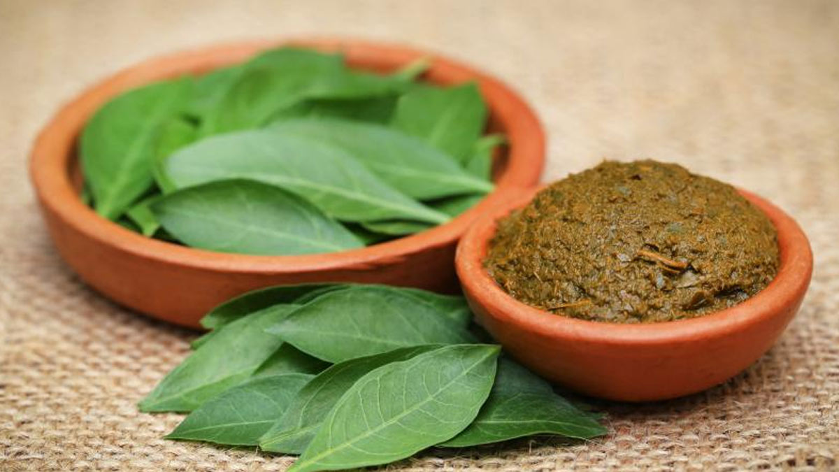 mehandi leaves for hair growth ayurvedic remedies
