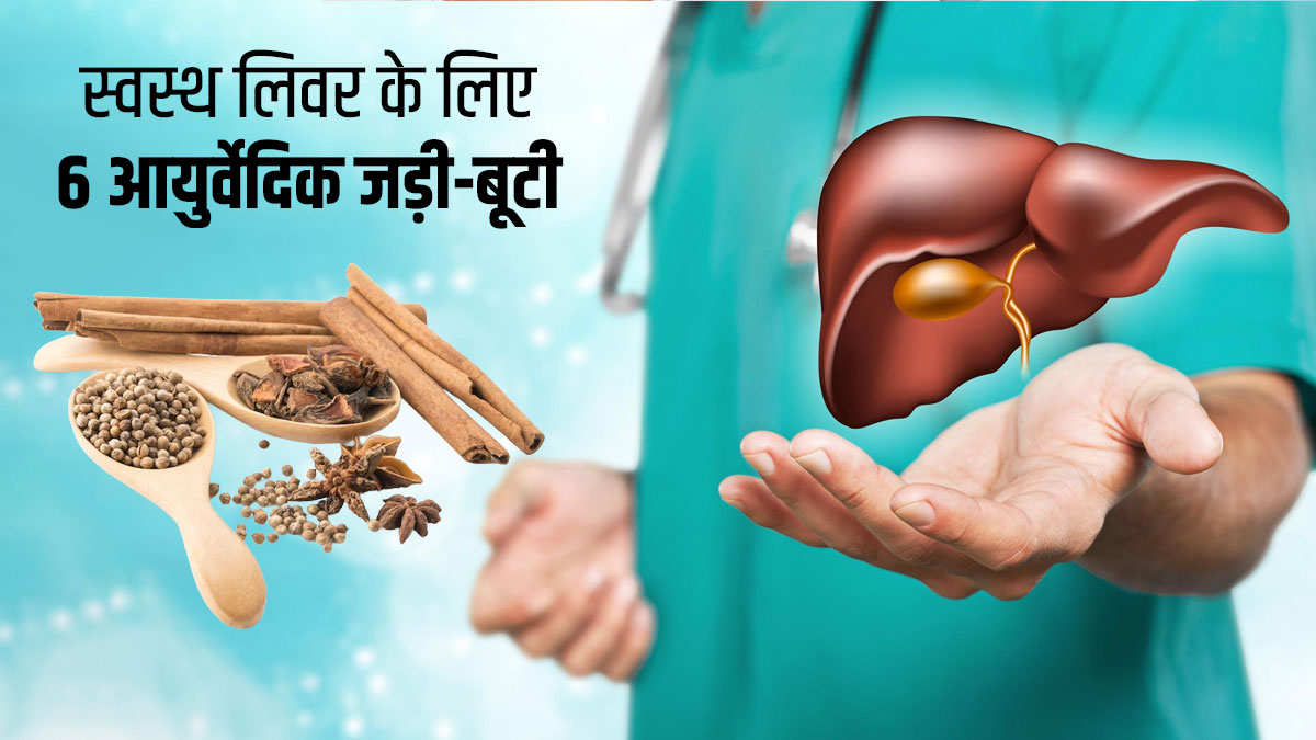 लिवर को स्वस्थ रखने में मदद करेंगी ये 6 आयुर्वेदिक हर्ब्स, जानें इस्तेमाल का तरीका