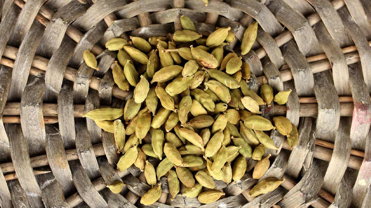 elaichi benefits in hindi 