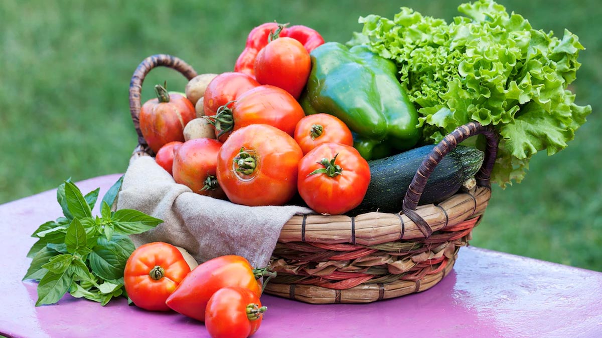 घर में उगाते हैं सब्जियां? खाने से पहले रखें इन 5 बातों का ख्याल, नहीं तो पड़ सकते हैं बीमार