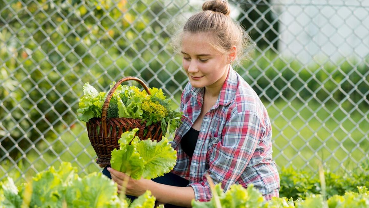 home grown vegetables 