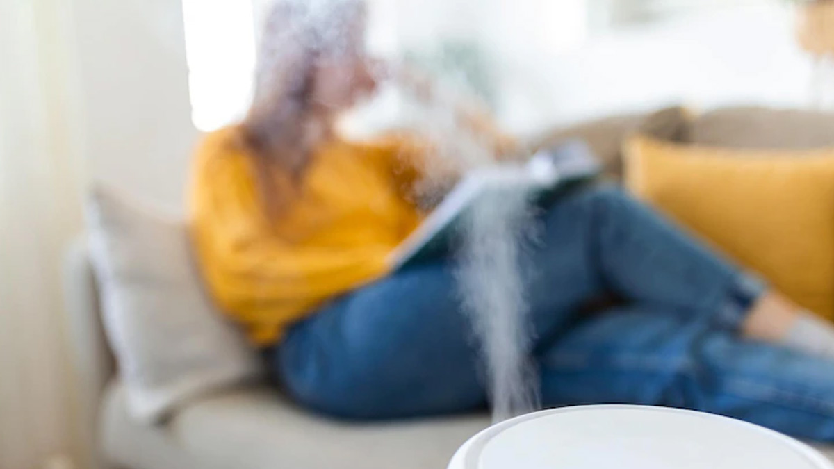Indoor Air Pollution: Causes & Ways To Reduce It