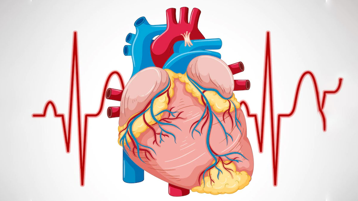  Heart Flutter: What Does It Tell You About Your Overall Health