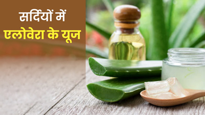 Aloe Vera in Winter: सर्दियों में इन  तरीकों से इस्तेमाल करें एलोवेरा, सेहत, त्वचा और बाल रहेंगे हेल्दी