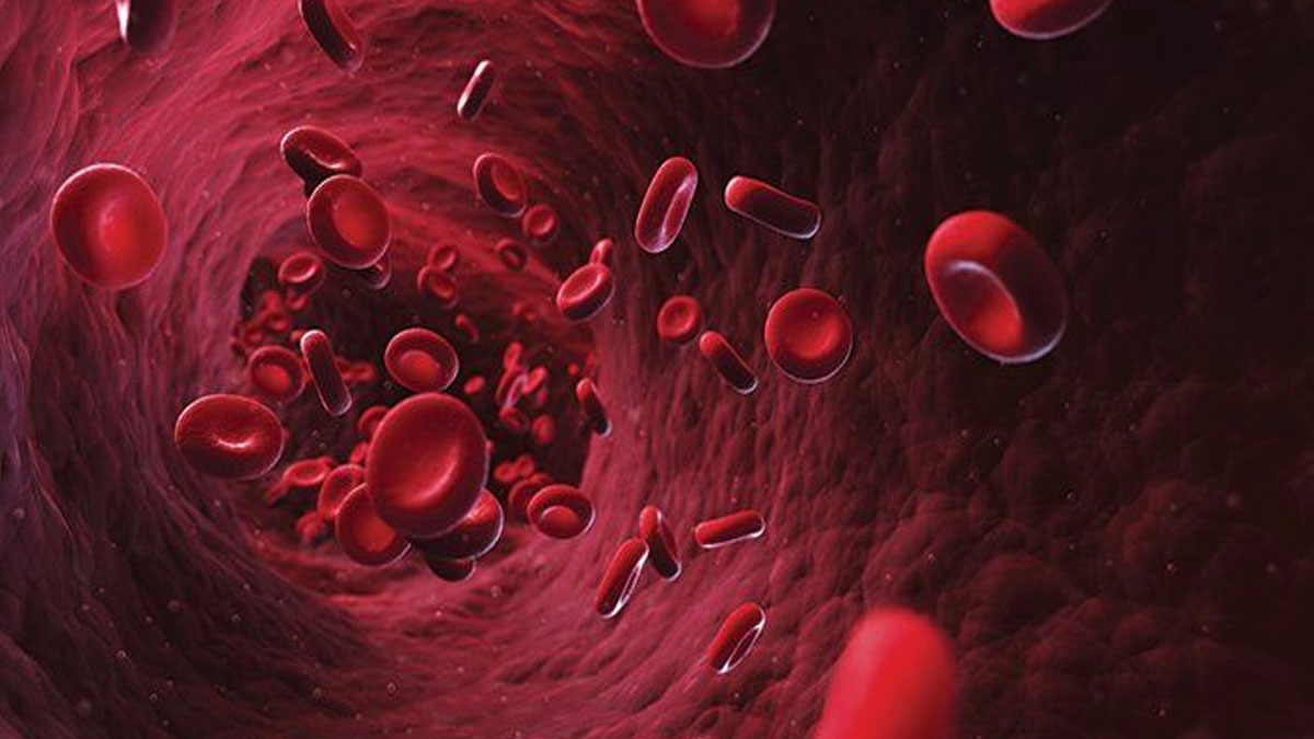 dates with milk for anemia benefits