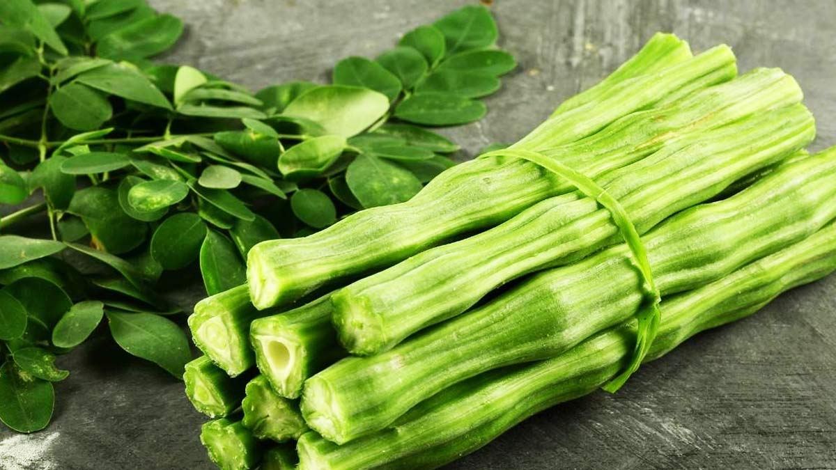 moringa leaves benefits