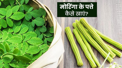 Moringa Leaves: मोरिंगा (सहजन) की पत्तियां कैसे खाएं? जानें 6 तरीके