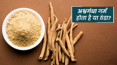 अश्वगंधा गर्म होता है या ठंडा? जानें अश्वगंधा किन लोगों को नहीं खाना चाहिए