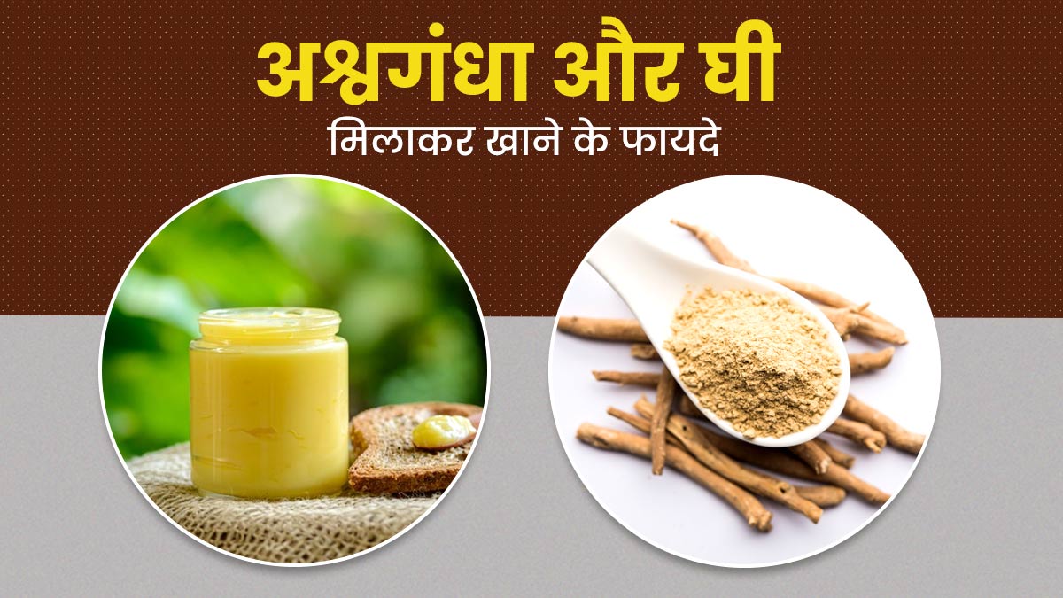 अश्वगंधा और घी खाने के फायदे | Ashwagandha Powder With Ghee Benefits In Hindi
