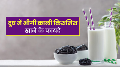 रातभर दूध में भिगोकर रखें काली किशमिश, सुबह खाली पेट खाने मिलेंगे 5 जबरदस्त फायदे