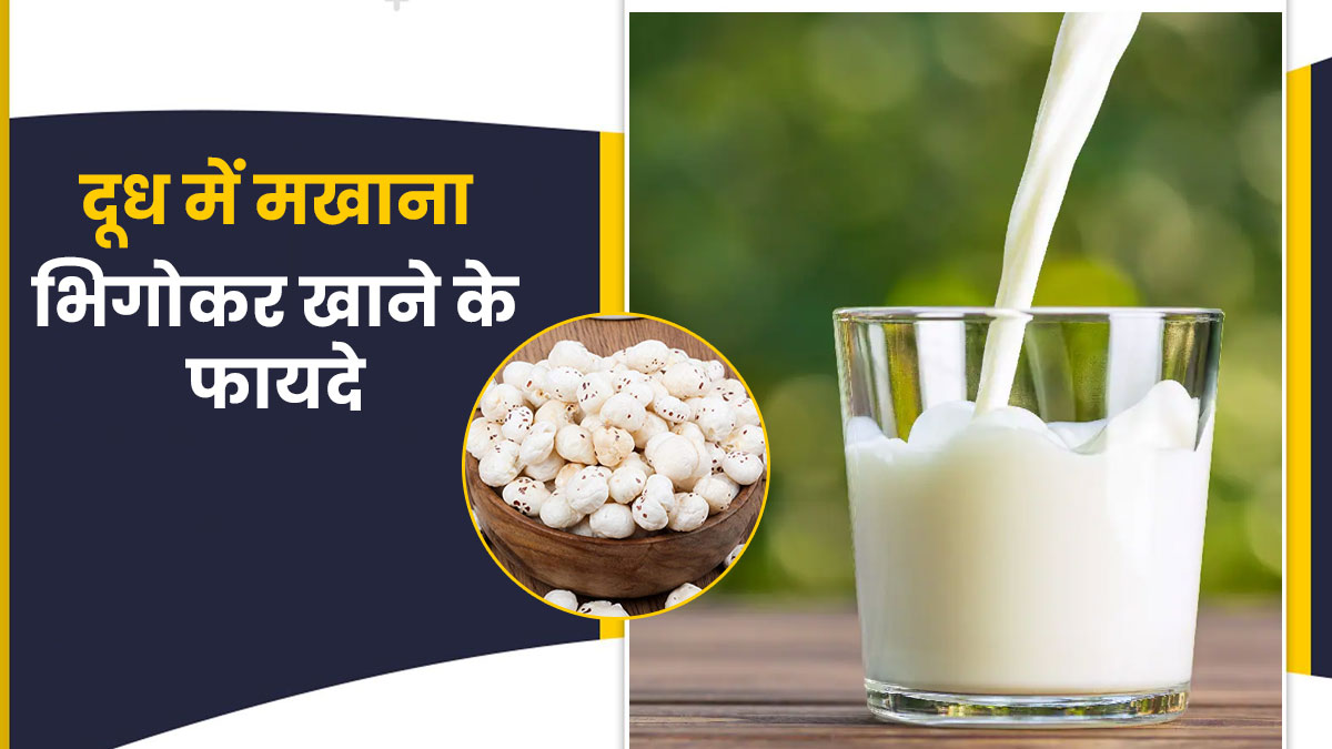 Makhana with Milk: दूध में भिगोकर खाएं मखाना, मिलेंगे गजब के फायदे
