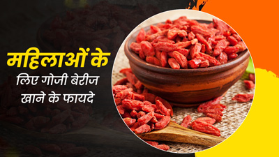 खट्टा-मीठा फल 'गोजी बेरीज' खाने से महिलाओं को मिलते हैं ये 5 फायदे, जानें खाने का तरीका