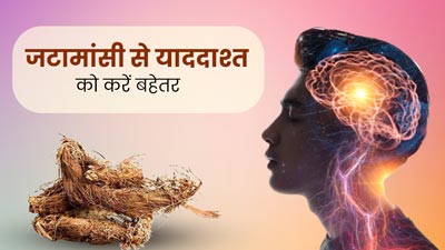 याददाश्त को बेहतर बनाएगा जटामांसी, जानें इसके फायदे और सेवन का तरीका