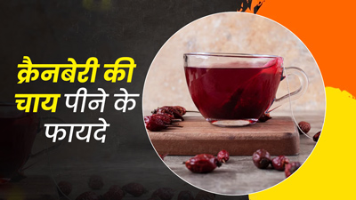 क्रैनबेरी की चाय पीने से सेहत को मिलेंगे ये 5 जबरदस्त फायदे, जानें बनाने का तरीका 