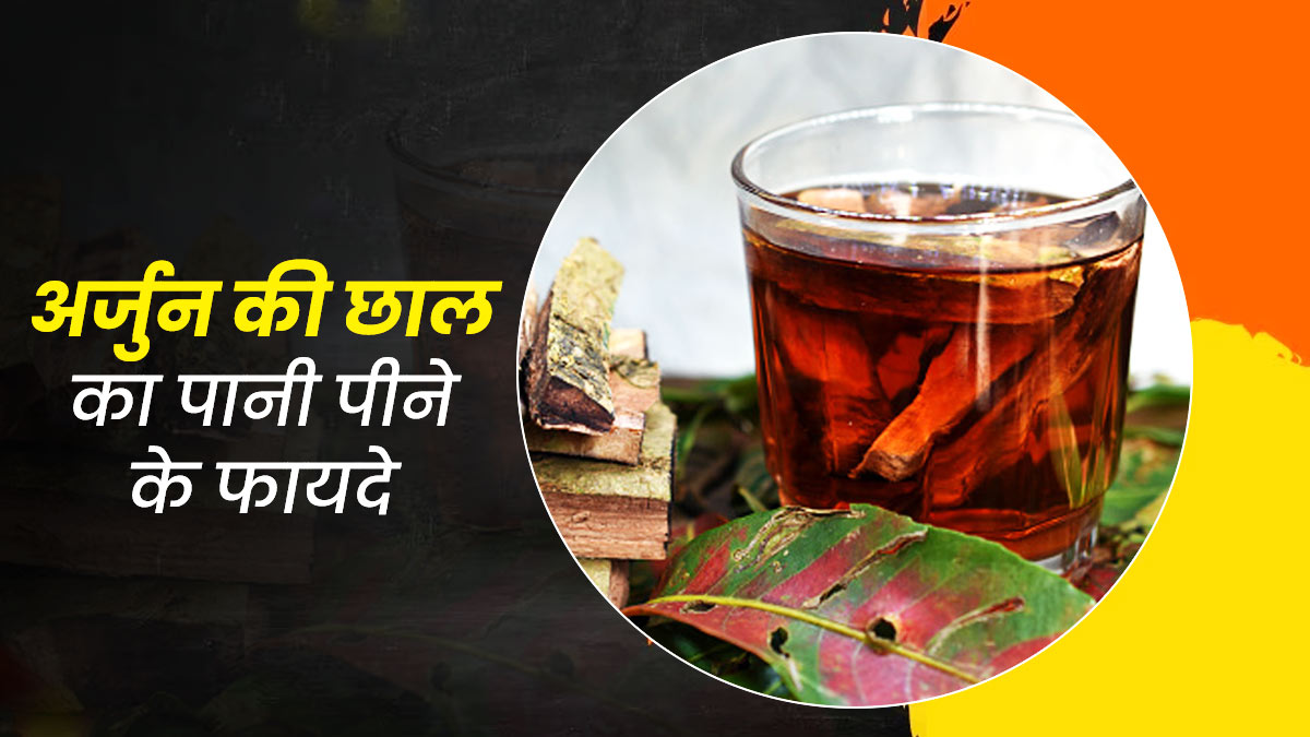 अर्जुन की छाल का पानी पीने से सेहत को मिलते हैं ये 5 जबरदस्त फायदे, जानें सेवन का तरीका