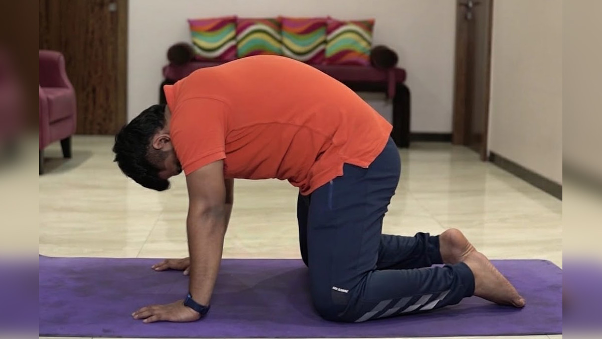 Cat-Camel Exercise