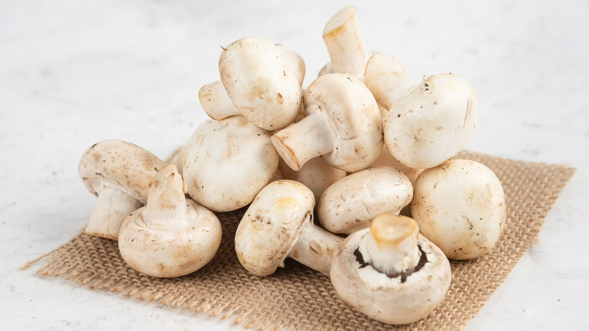 mushroom