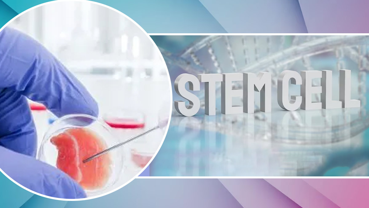 Stem Cell Banking: A Wise Investment for Your Child's Future Health ...